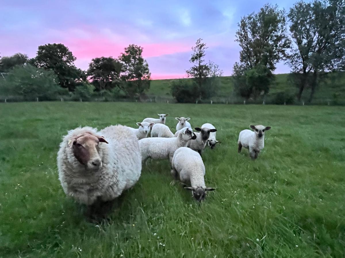Reetkate Kaltenhoern Tetenbull Exteriér fotografie